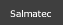 Salmatec