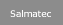 Salmatec