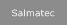 Salmatec